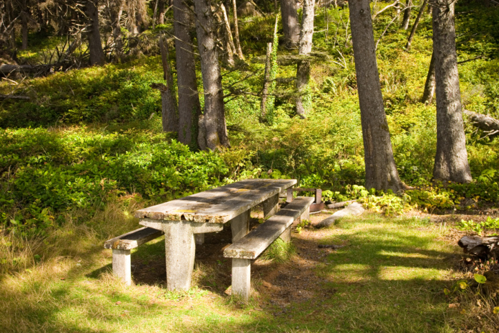 Picnic Table in Forks Washington