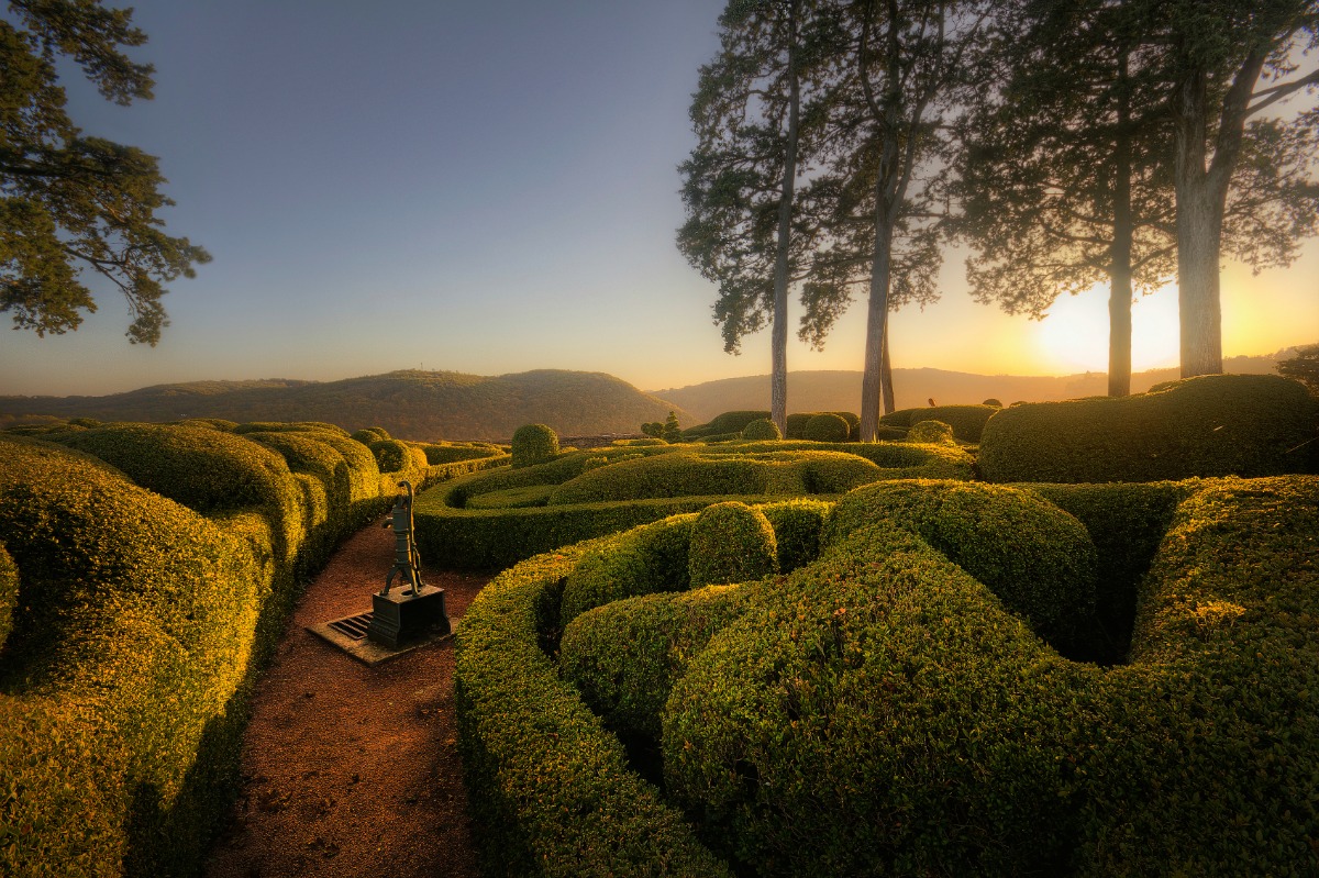 Hedges in Marqueyssac Gardens in the fading sunlight