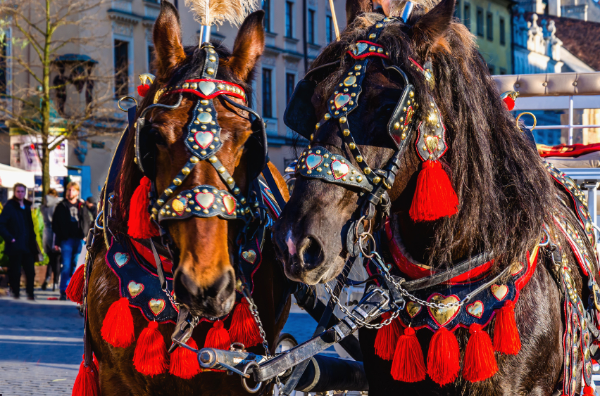 Horse carriages on main square of Krakow city in Poland
