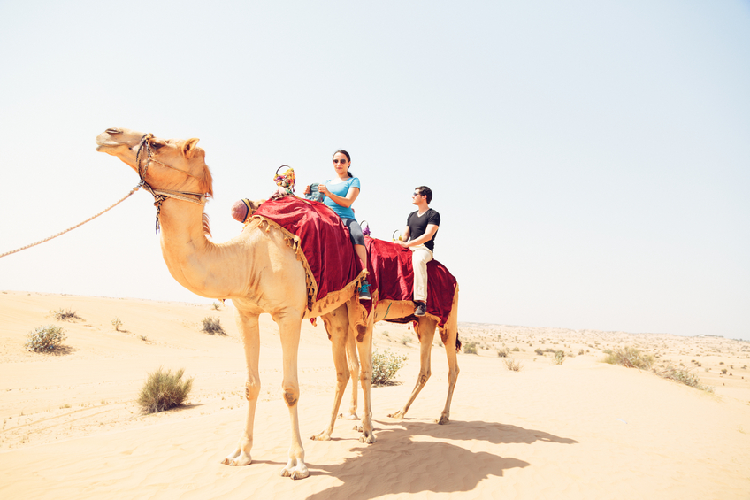 tourists riding through the desert on their camels