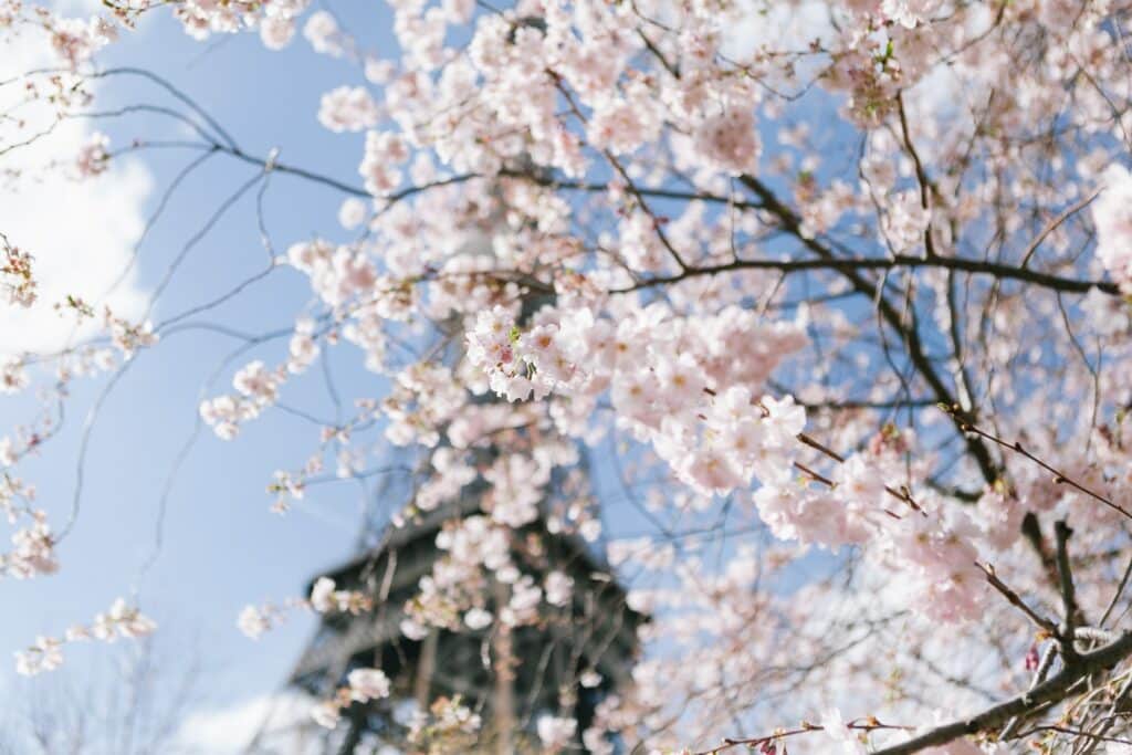 Paris om våren