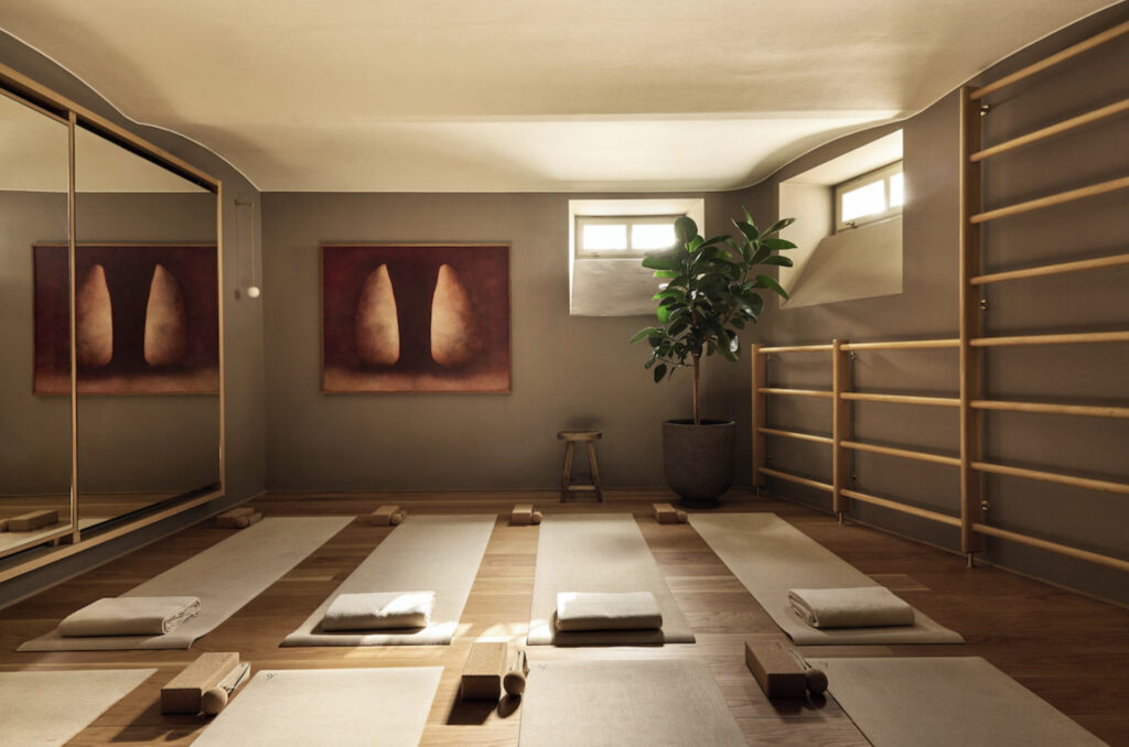 Ett Hem hotell i Stockholm. Yogastudio i hotellet med grønn plante, yogamatter og speil i rommet.
