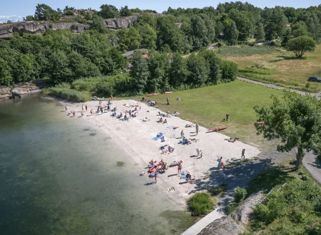 Strand med folk som bader og grønt gress. 