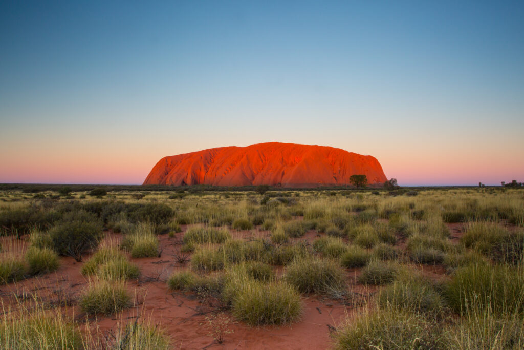 Rød monolitt i Uluru.