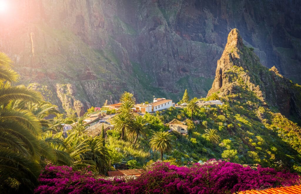 oversiktsfoto over masca på tenerife